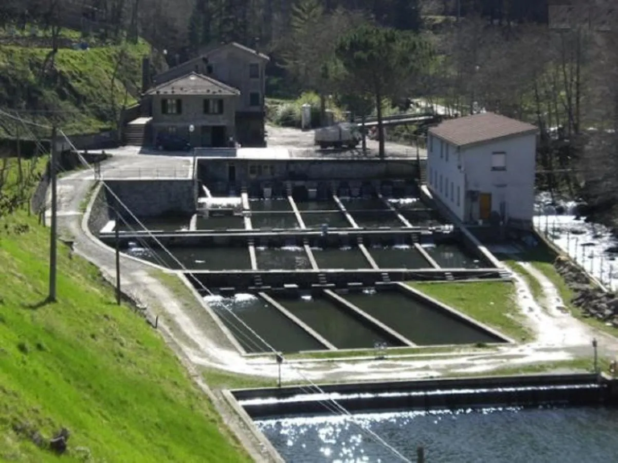 Casa Titina Riposo E Relax Nella Campagna Toscana Διαμέρισμα Pratovecchio