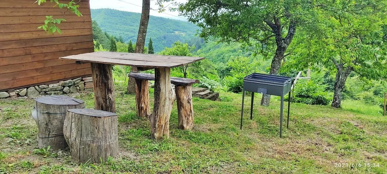 Lejlighed Casa Titina Riposo E Relax Nella Campagna Toscana Pratovecchio